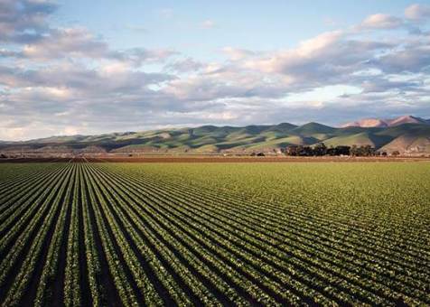 Agriculture