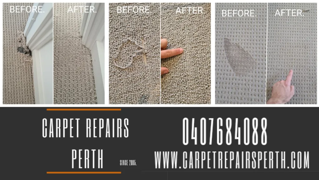 311704147_479817770831292_6945624887614313202_n