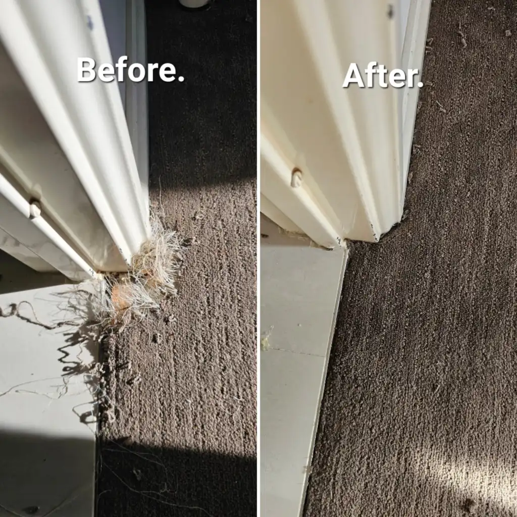 carpet-repairs-nollamara
